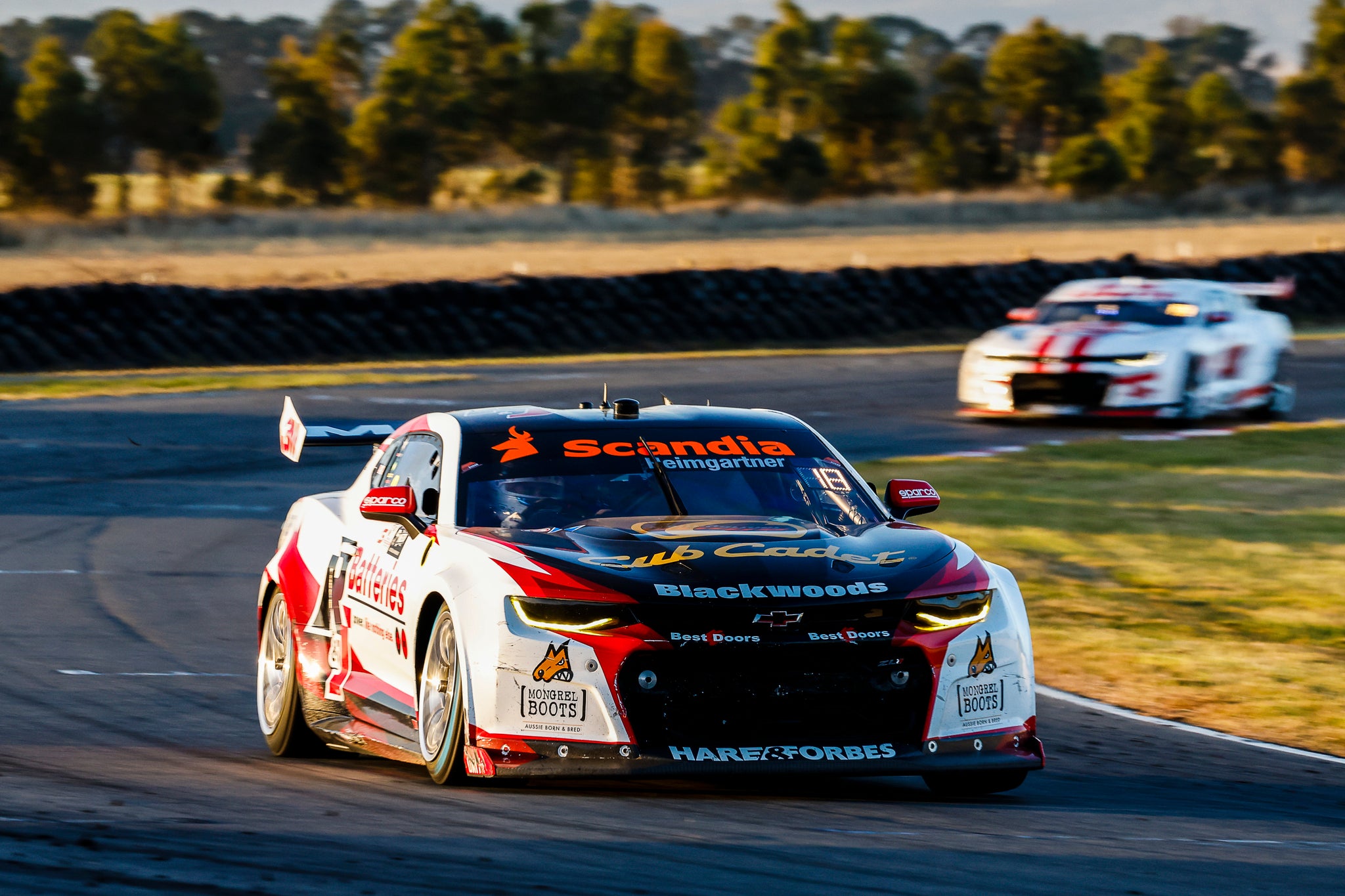 CHEV CAMARO GEN3 ZL1 - BJR -  HEIMGARTNER #8 - NED Whisky  Tasmania Supersprint - Race 10  RUNNER-UP - 100 ROUND STARTS